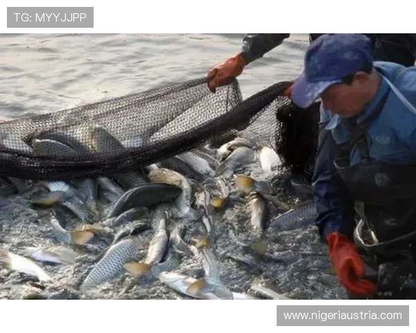 博鱼官网下载安装的注意事项,帮你避免常见的安装陷阱与风险 博鱼官网下载安装的注意事项,帮你避免常见的安装陷阱与风险