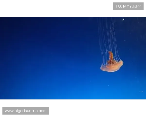 星空体育登录后如何管理个人信息和账户安全设置